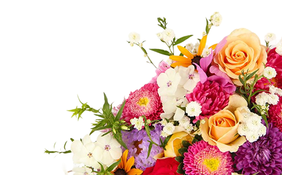 some flowers